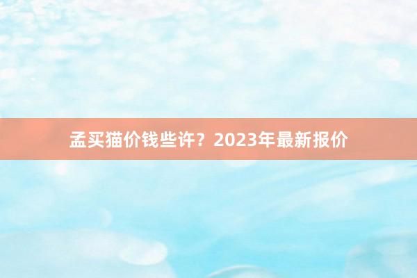 孟买猫价钱些许？2023年最新报价